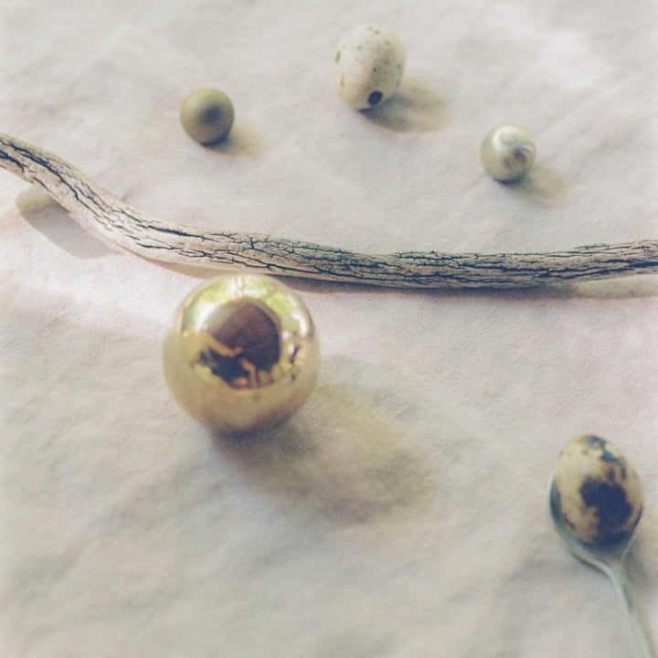 Organic Layout featuring Cercle Knob Large in Polished Bronze