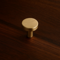 Lacquered Satin Brass
