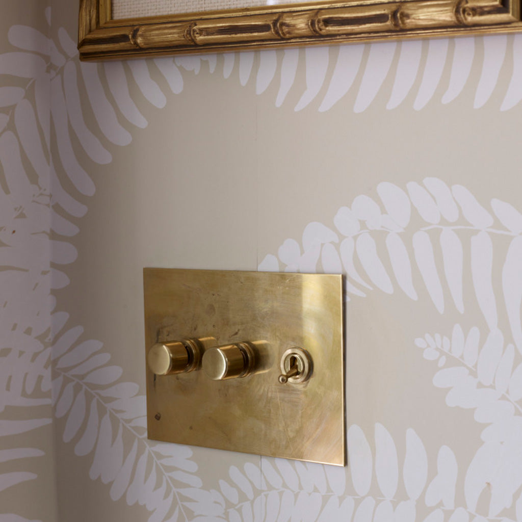 A brass Forbes & Lomax switch plate on fern wallpaper.