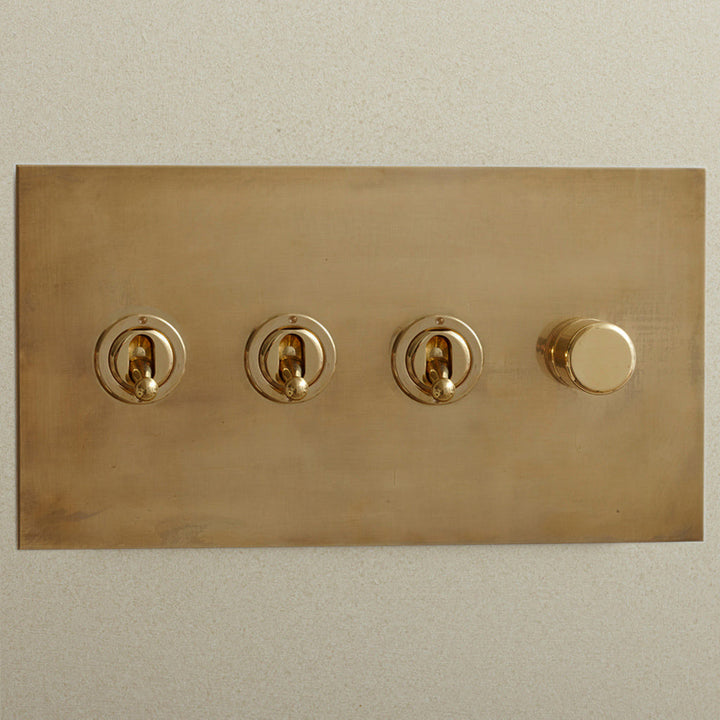 Combination Rotary Dimmers and Toggle Switches by Forbes & Lomax