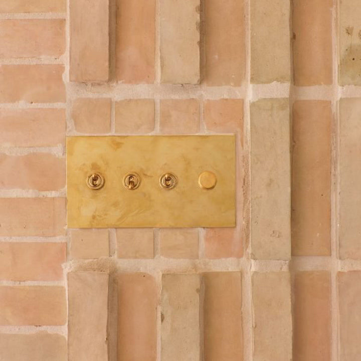 Combination Rotary Dimmers and Toggle Switches by Forbes & Lomax