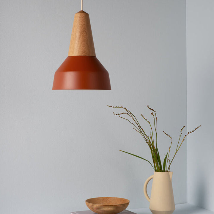 eikon pendant by schneid