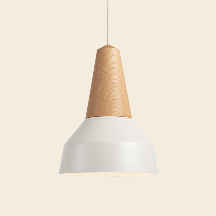 eikon pendant by schneid