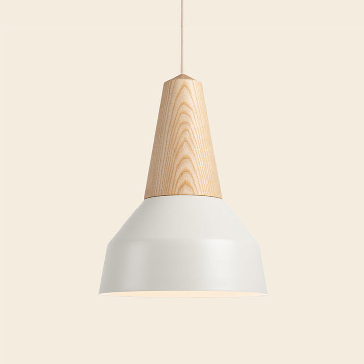 eikon pendant by schneid