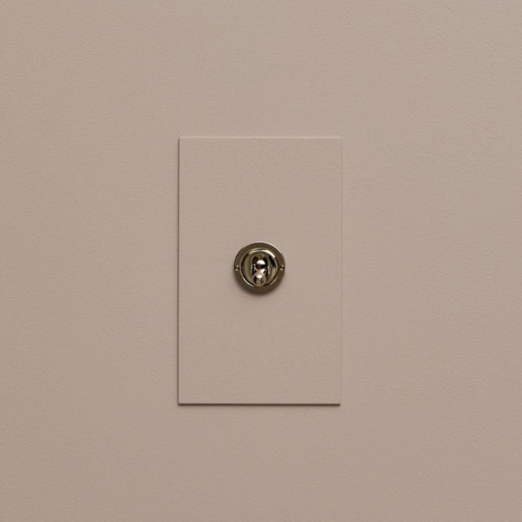 Taupe Forbes & Lomax painted switch plate with a single toggle.