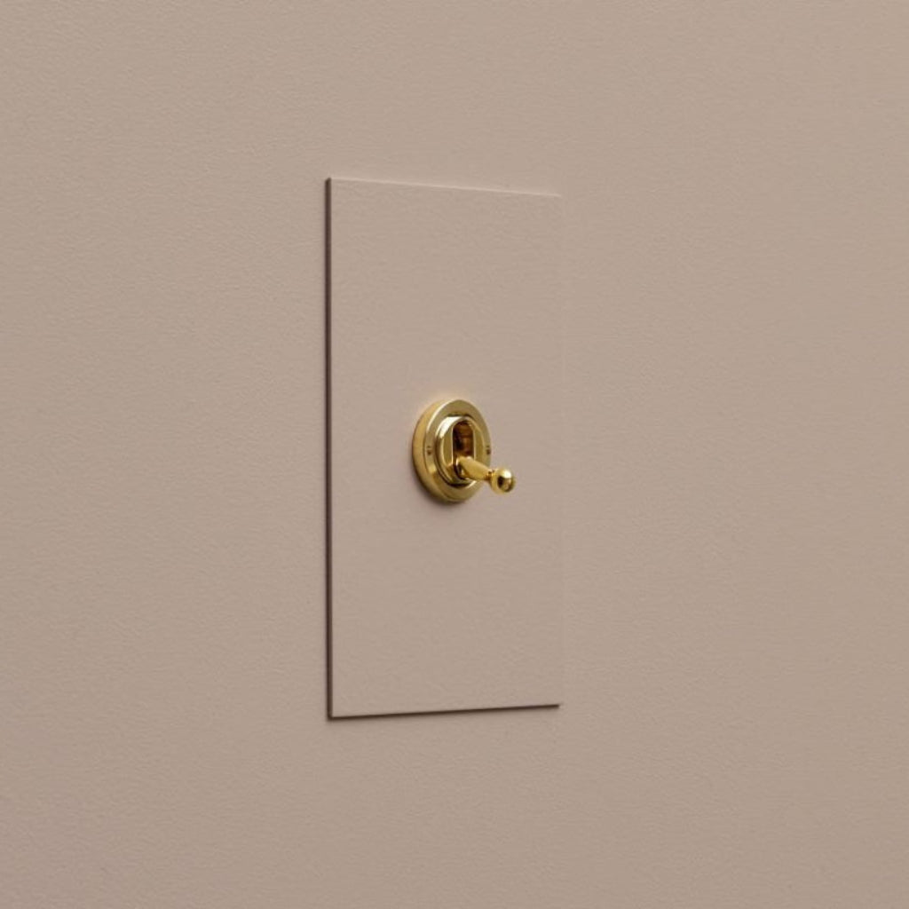 Taupe Forbes & Lomax painted switch plate with a brass toggle.