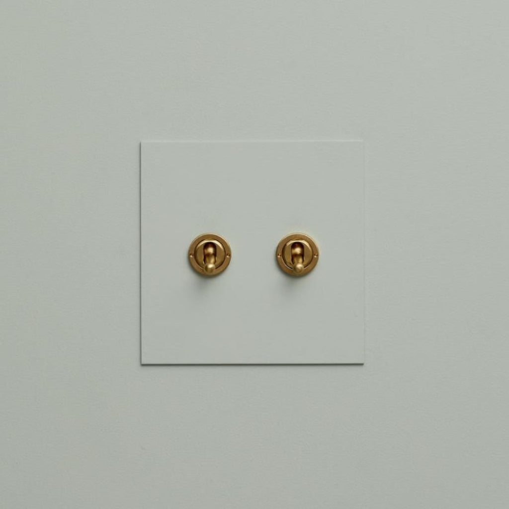 Sage Forbes & Lomax painted switch plate with two brass toggles.