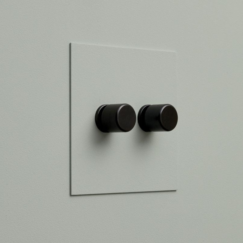 Sage Forbes & Lomax painted switch plate with two black dimmers.