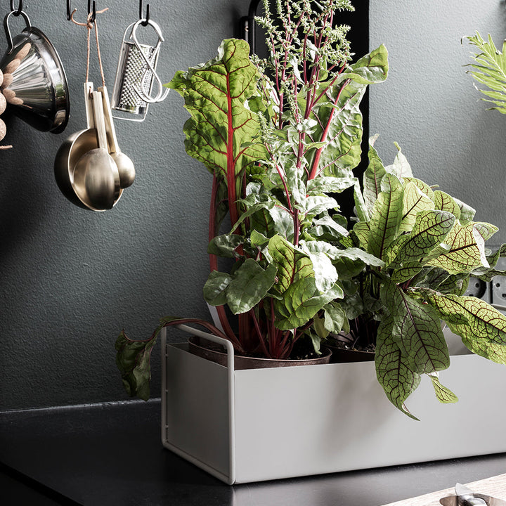 Plant Box Small by Ferm Living