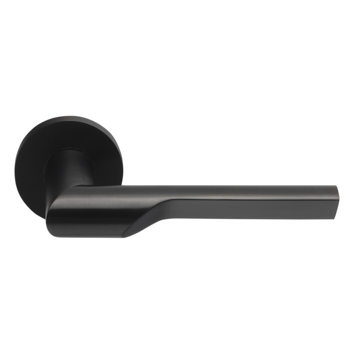 RIVIO GL101-G Door Lever