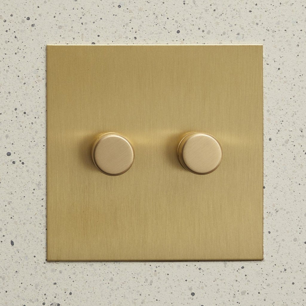 Aged brass Forbes & Lomax plate with two rotary dimmers.