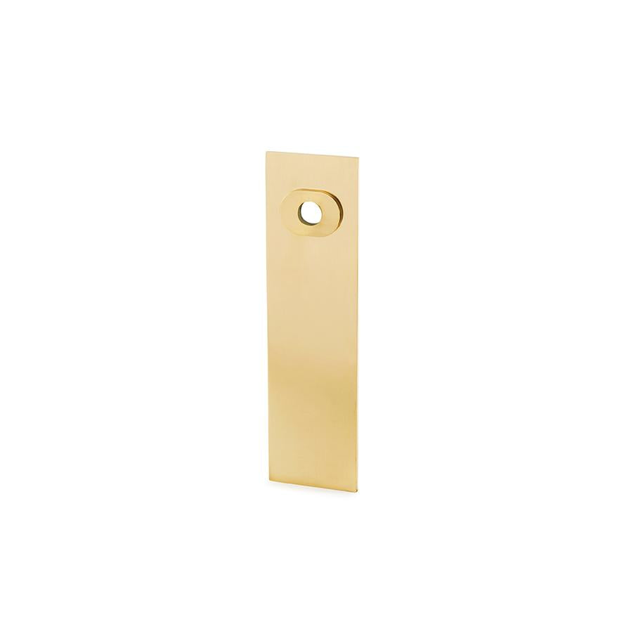 Brass Vervloet Stardust smooth rectangular backplate.