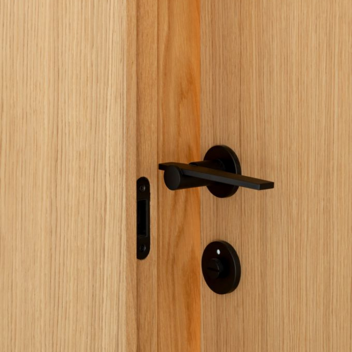 A close up of a Formani TENSE BB100G Door Lever on a wooden door.
