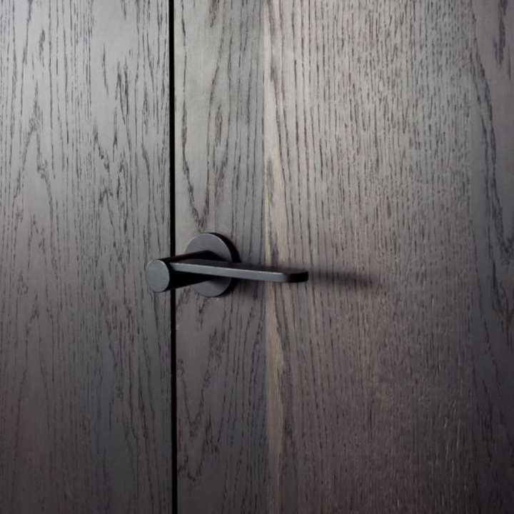 TENSE BB100G Door Lever