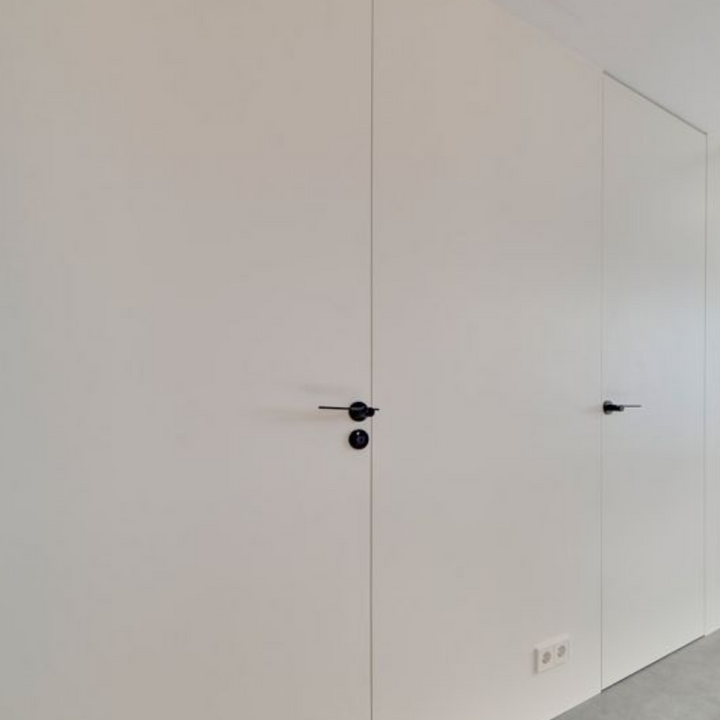 TENSE BB100G Door Lever
