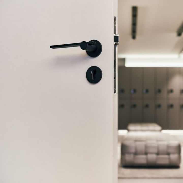 TENSE BB100G Door Lever