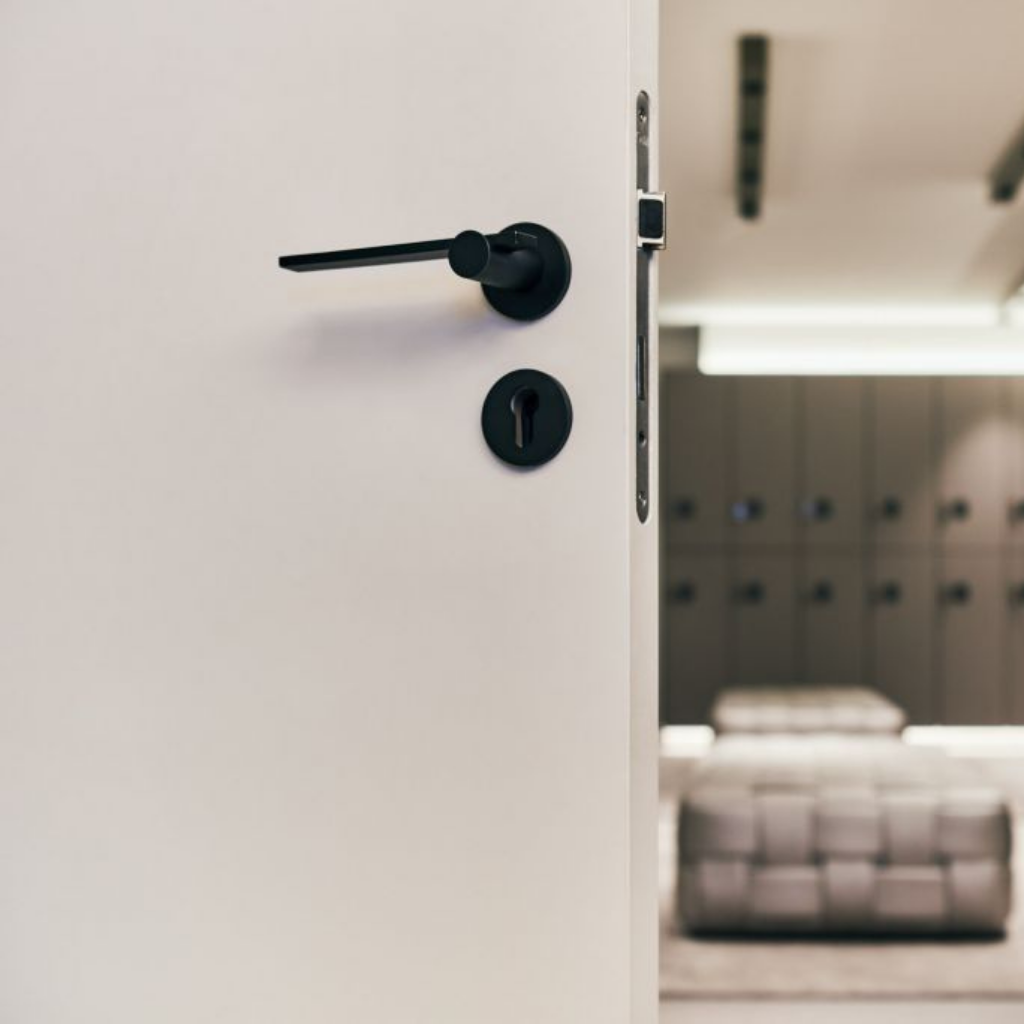 TENSE BB100G Door Lever