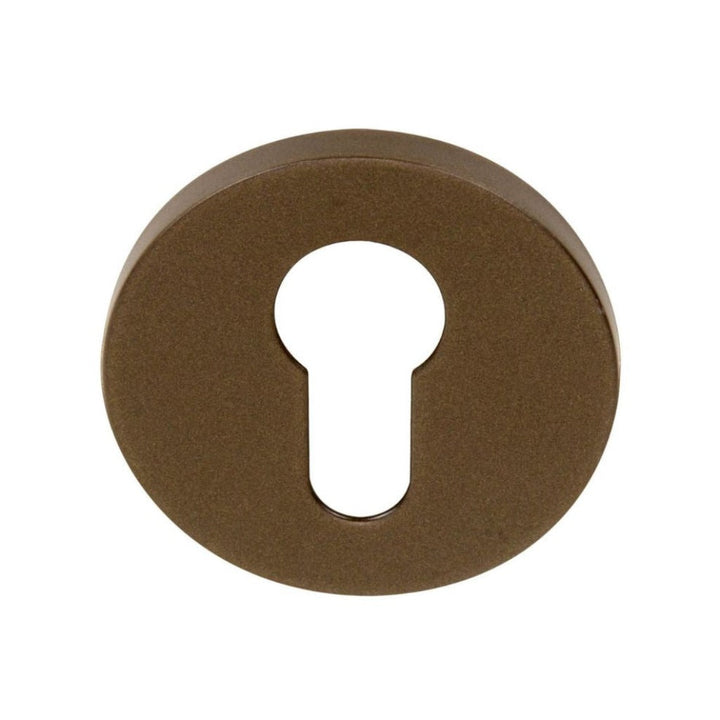 A Formani TENSE BBY53 Escutcheon with a key hole.