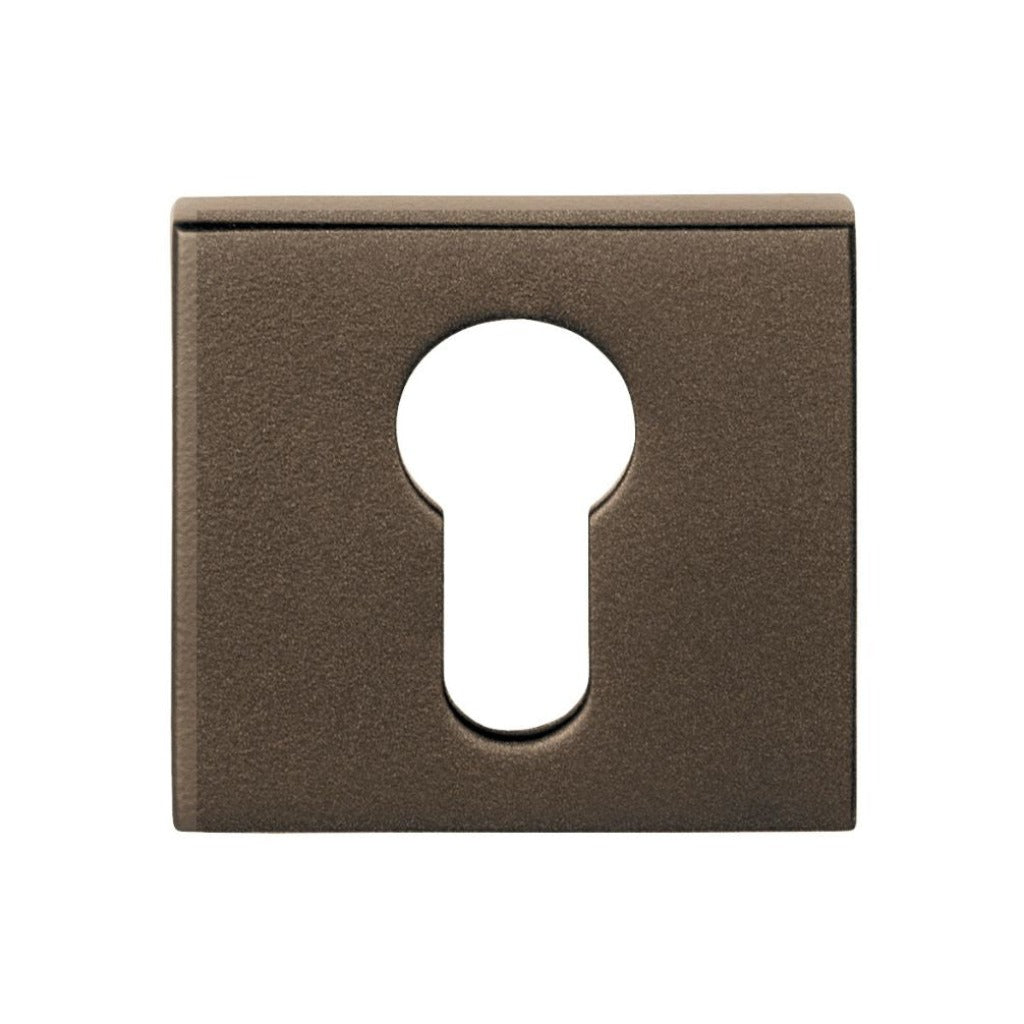 lsqby50 in bronze