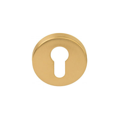 A Formani BASICS LBY50 Cylinder Escutcheon with a white background.