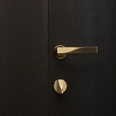 Elegant brass lever handle and thumb turn with circular roses on dark wood door. Beautifully and functionally designed.