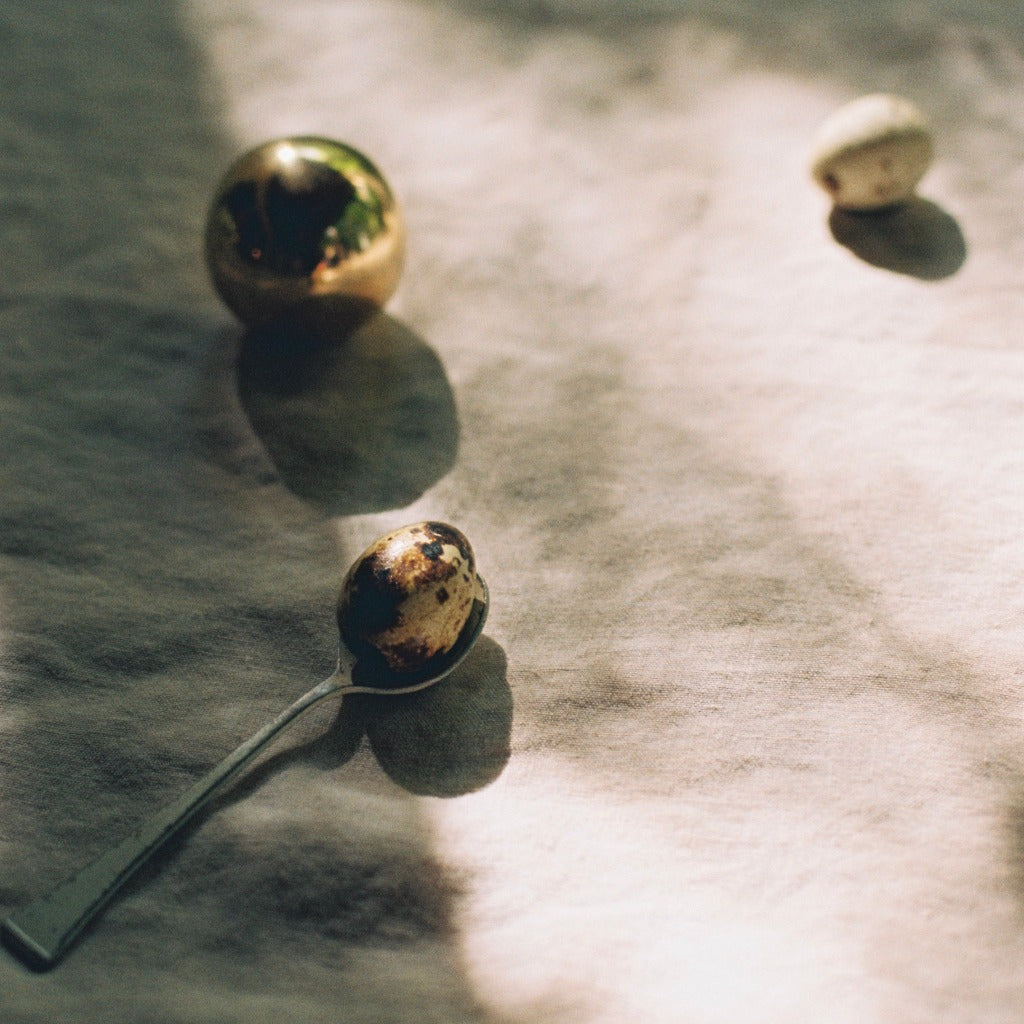 Brass Maha Alavi Cercle large knobs, cast balls, on cream.
