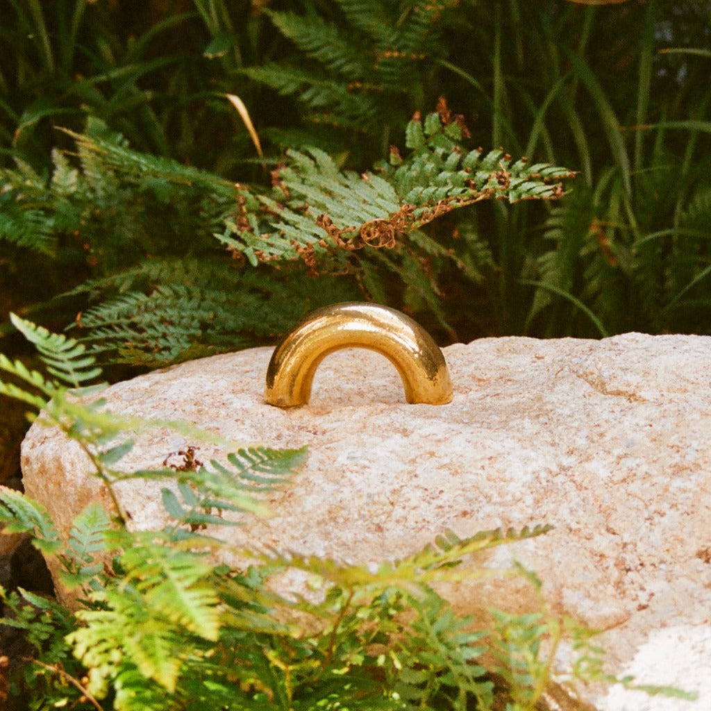 Polished brass Maha Alavi Cercle thick pull styled on a rock.