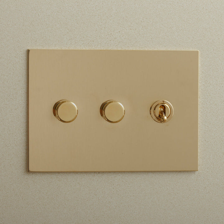 Combination Rotary Dimmers and Toggle Switches by Forbes & Lomax