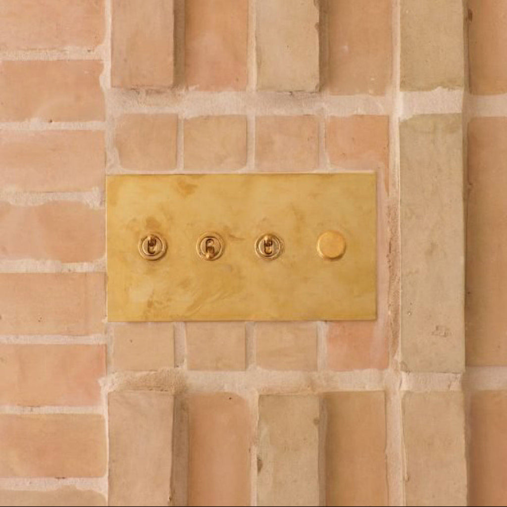 Combination rotary dimmer and toggle switch plate by Forbes & Lomax.