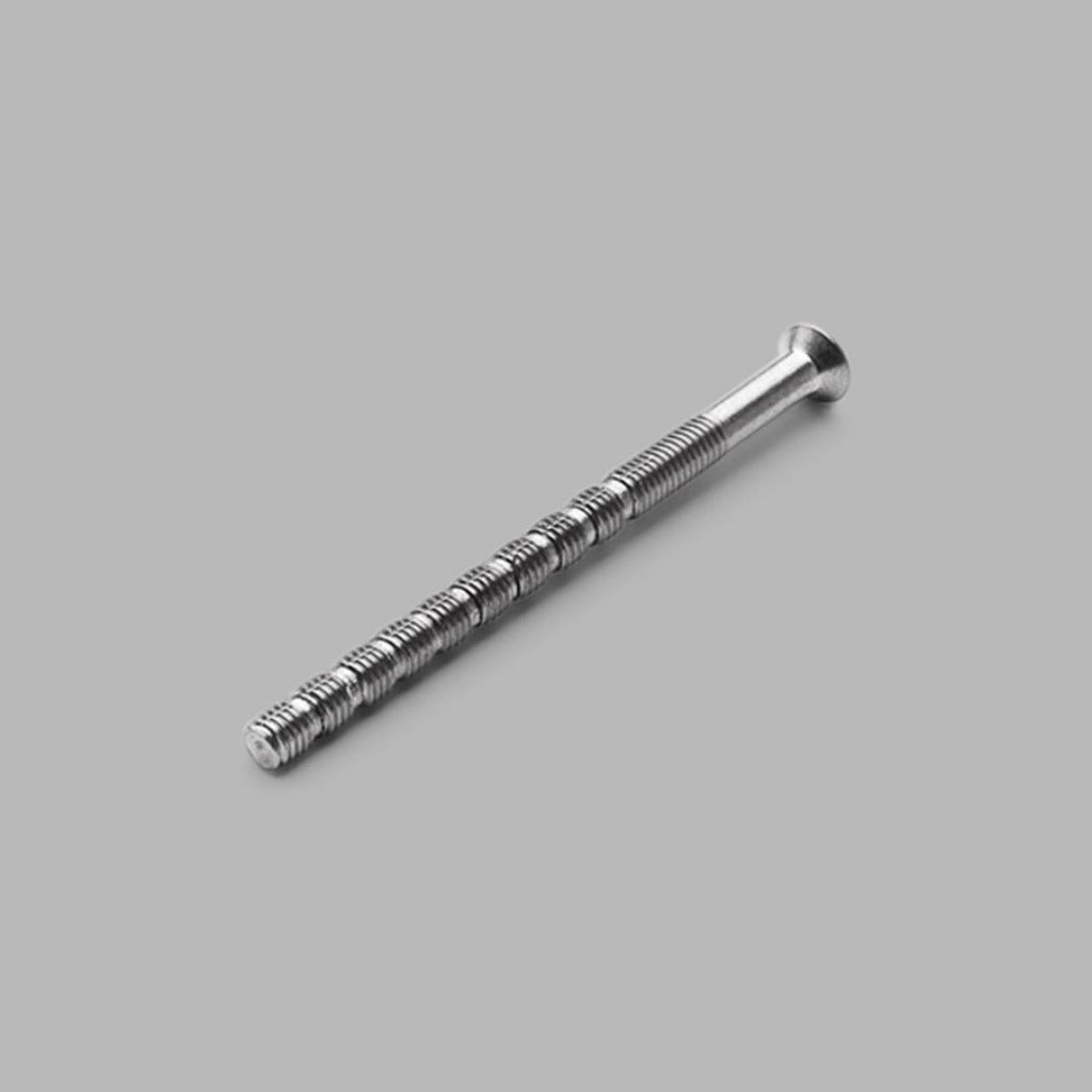 Long silver screw