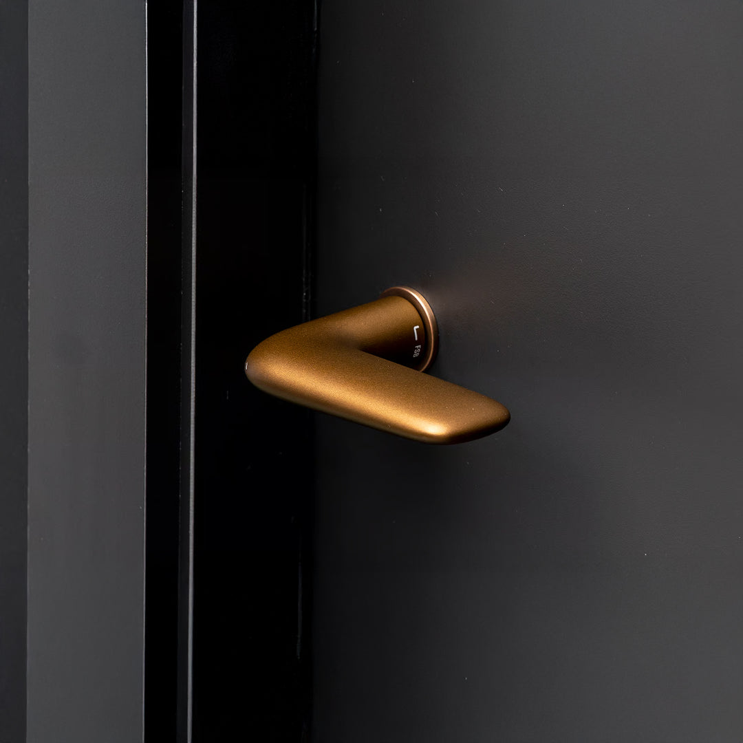 Bronze FSB 1291 lever on a dark door, catching light along the curve of the grip.