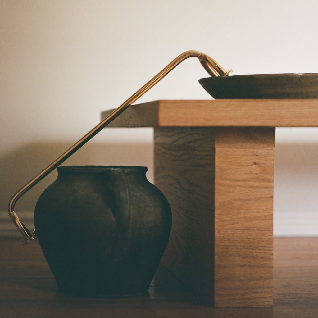 Brass Maha Alavi Fauna towel bar in a styled dark scene.