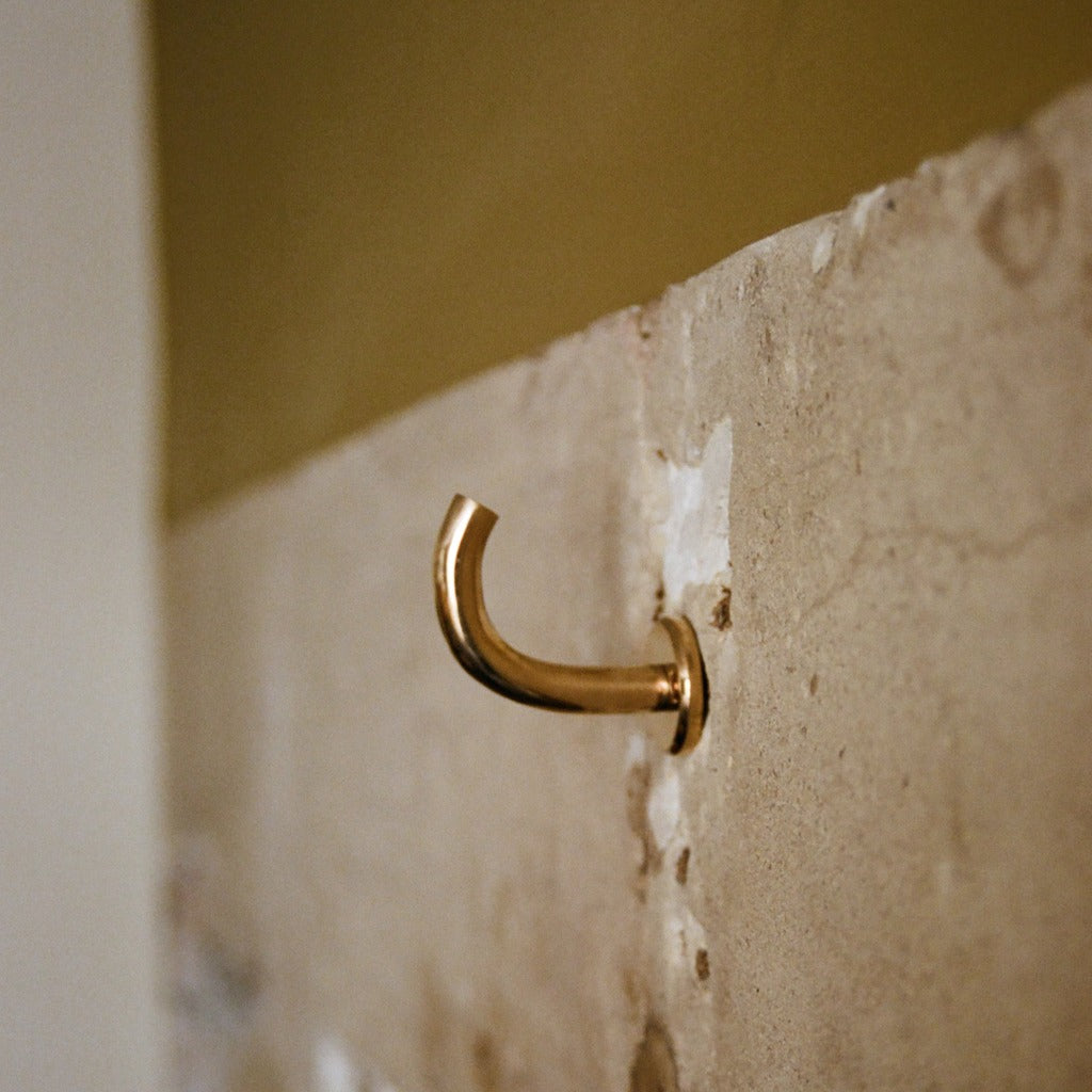 Brass Maha Alavi Fauna wall hook, a curved organic cast hook.