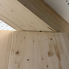 FritsJurgens System M+ Self-Closing Pivot Hinge