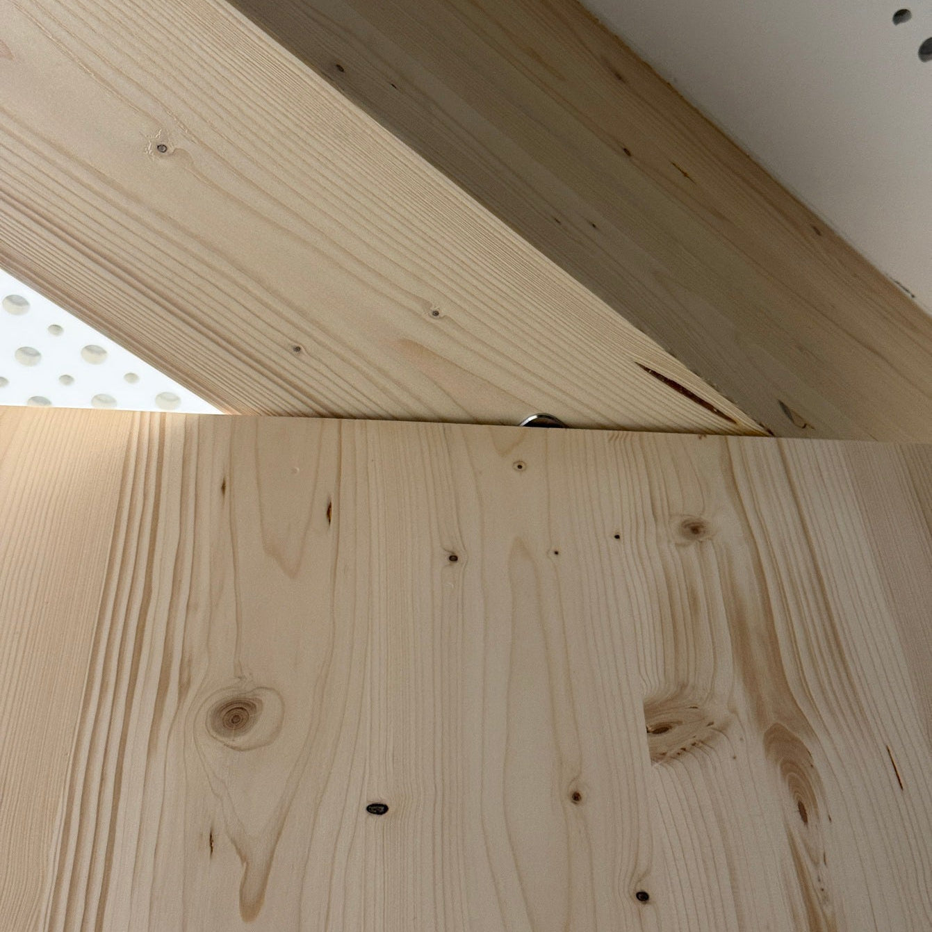FritsJurgens System M+ Self-Closing Pivot Hinge