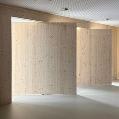 Modern interior with wooden walls and a light floor.