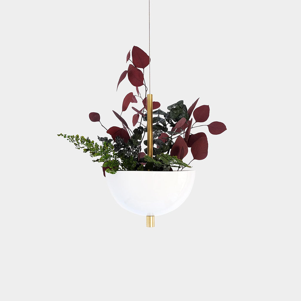 Ceiling Planter with lovely greens