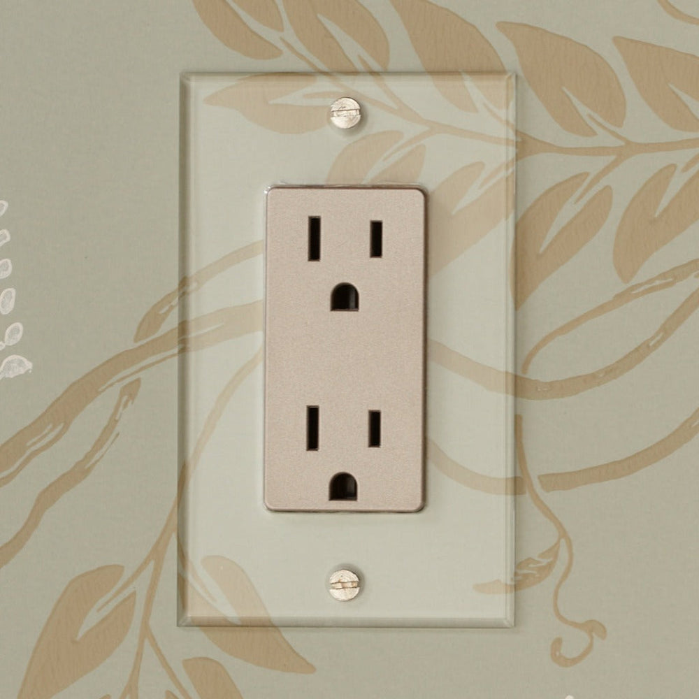 Invisible Plate 1 Gang Outlet by Forbes & Lomax offers a wide range of outlets for power, phone, data, and cable TV that perfectly complement their Rotary Dimmers and Toggle Switches.