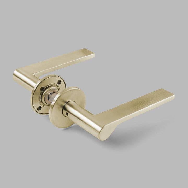 OneN Door Lever