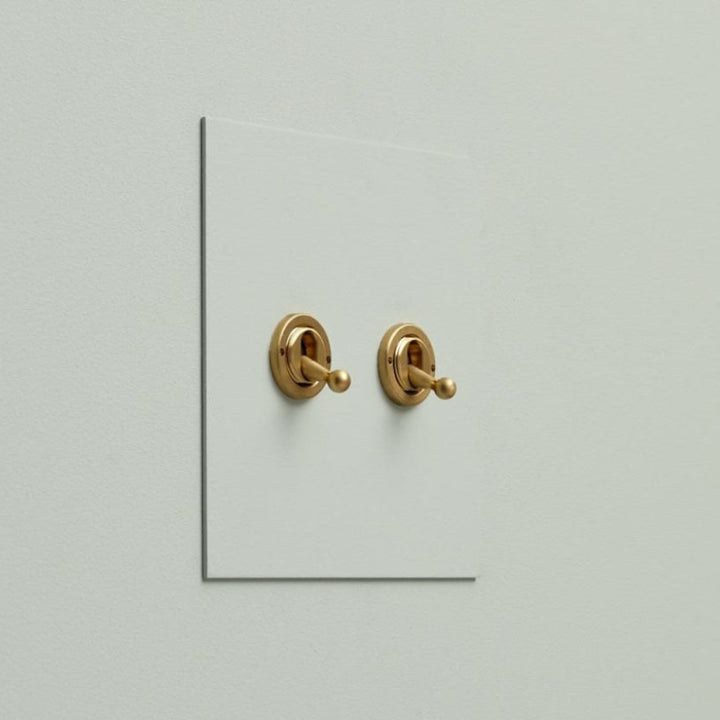 Painted Range Toggle Switches by Forbes & Lomax