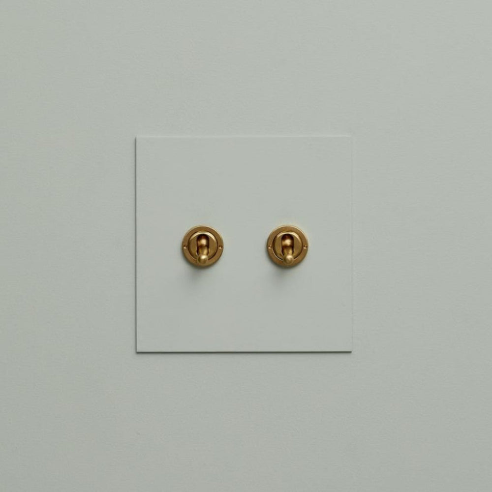 Sage Forbes & Lomax painted switch plate with two brass toggles.