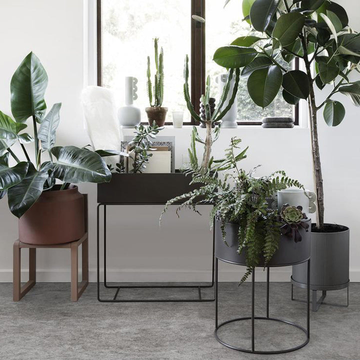 A couple of Ferm Living Plant Box Round sitting on top of a table.