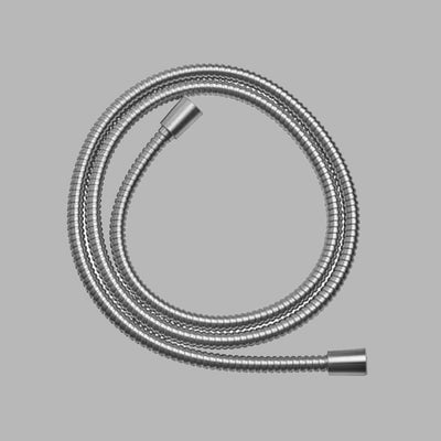A dline shower hose in stainless steel.