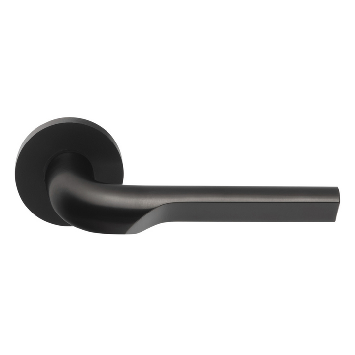 RIVIO GL100-G Door Lever