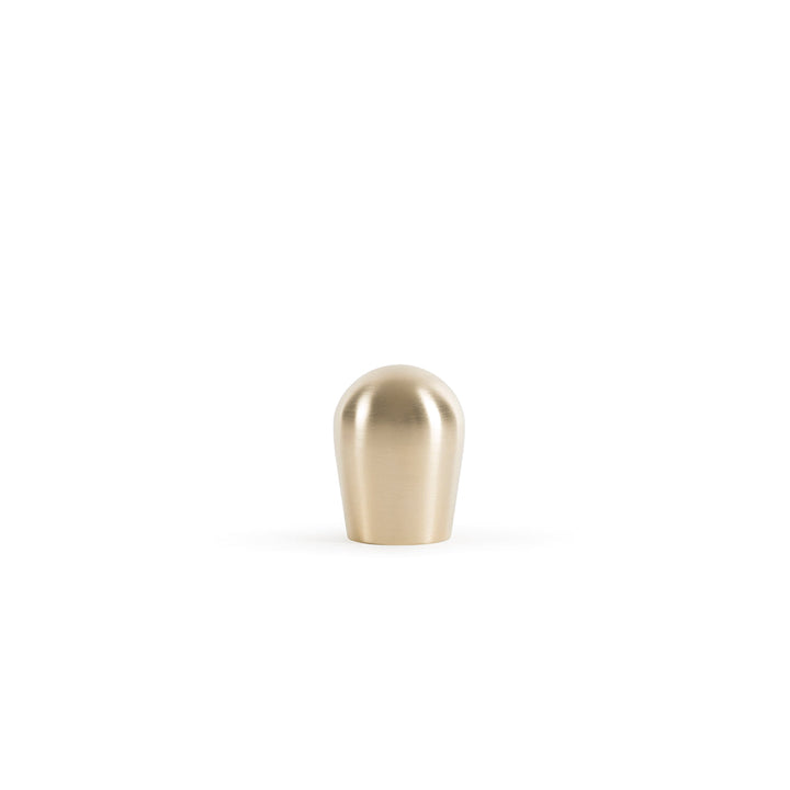 Modern Rene Cabinet and Furniture Knob in Brass by Maison Vervloet