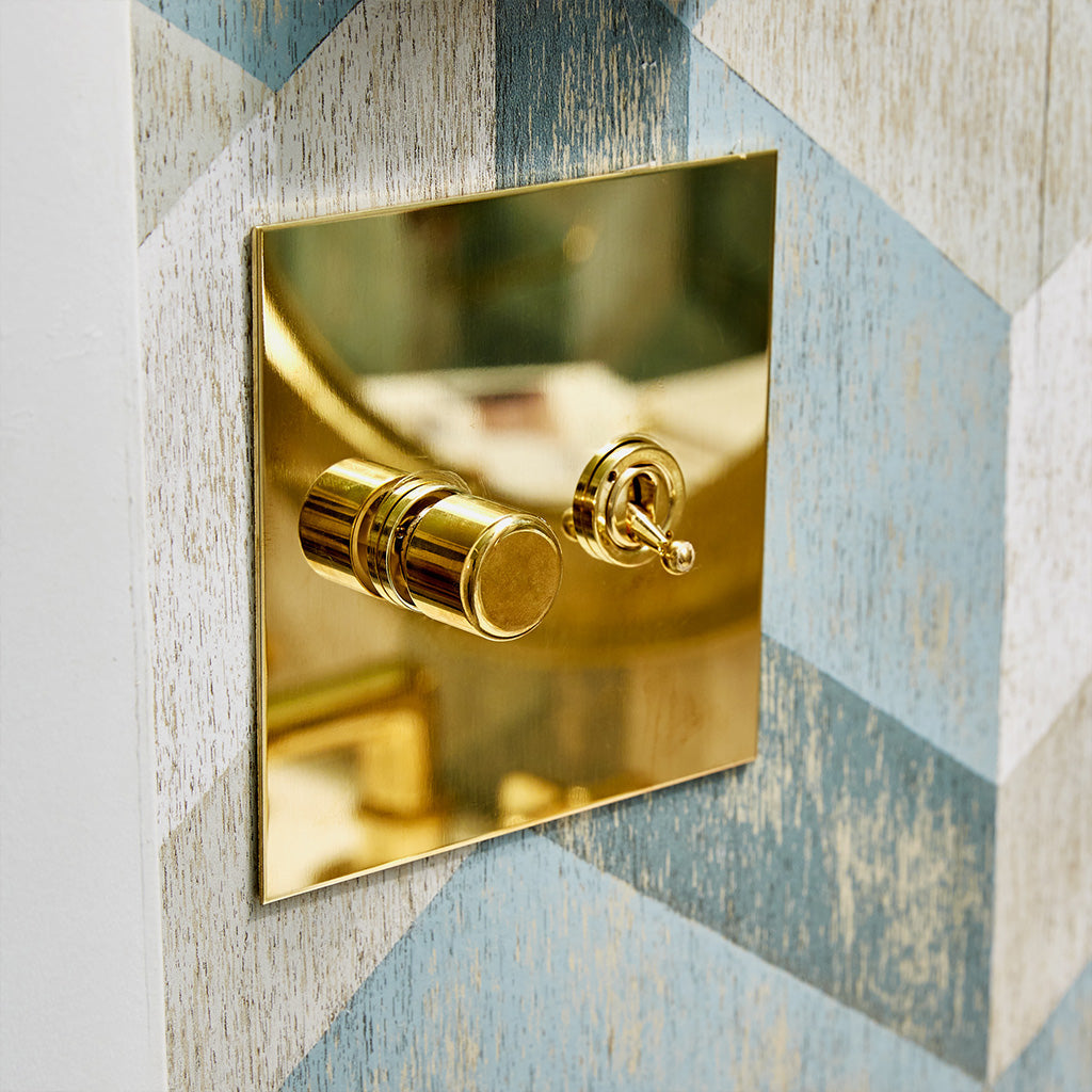 Forbes & Lomax rotary dimmer plate detail, brass finish.