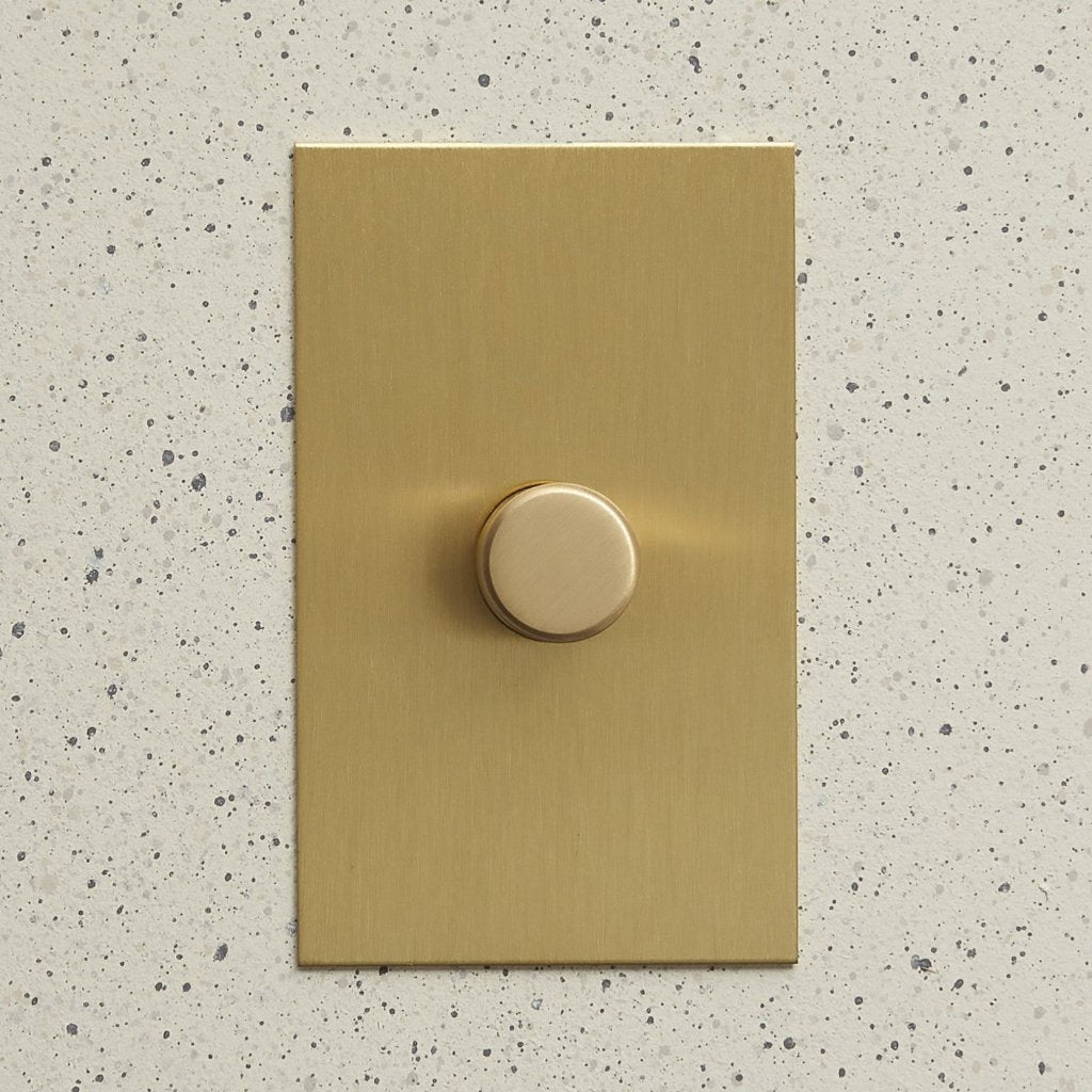 Aged brass Forbes & Lomax plate with a single rotary dimmer.