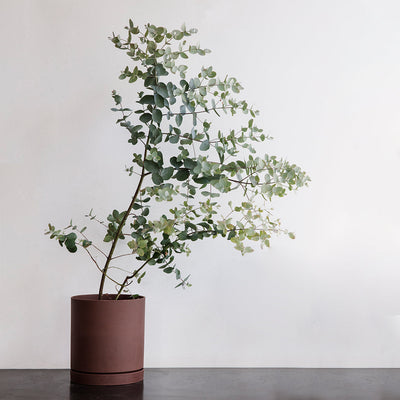 A Sekki Pot by Ferm Living holding a plant on a table.