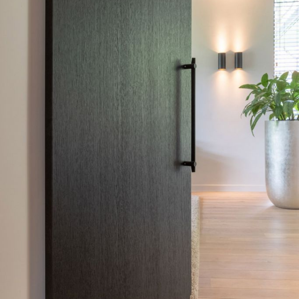A Formani TENSE BB500 Pull Handle door with a plant in it in a room.
