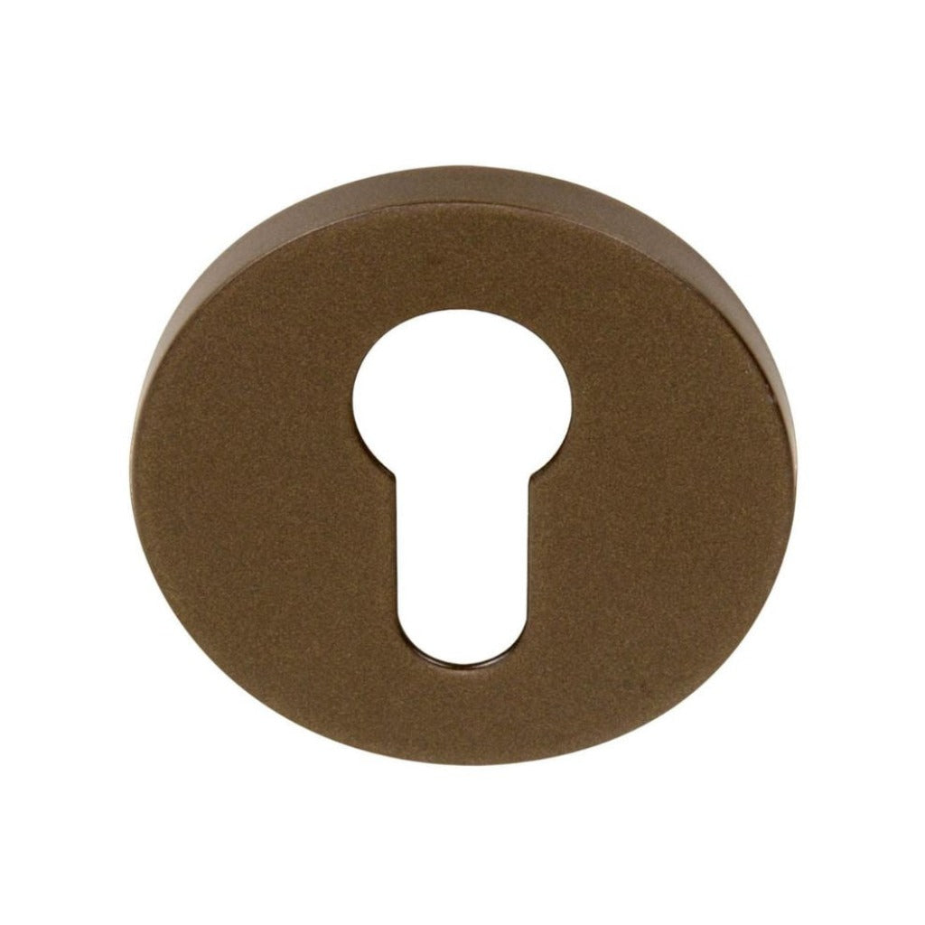 A Formani TENSE BBY53 Escutcheon with a key hole.